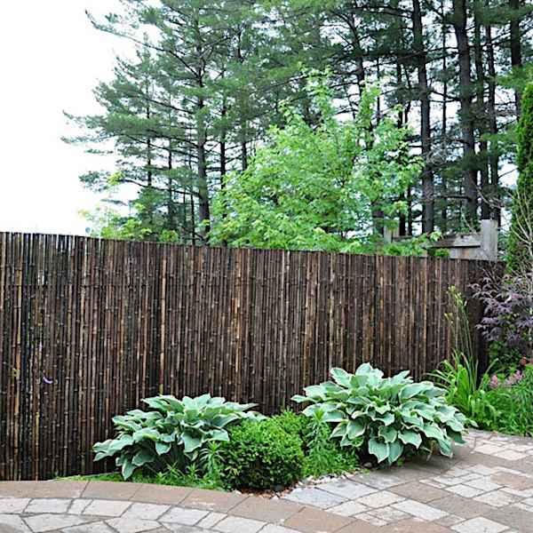 Black Bamboo Roll Fence in the Garden